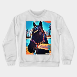 Barron Crewneck Sweatshirt